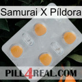 Samurai X Píldora 24